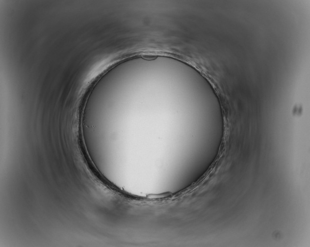 X0000101150005200807111016