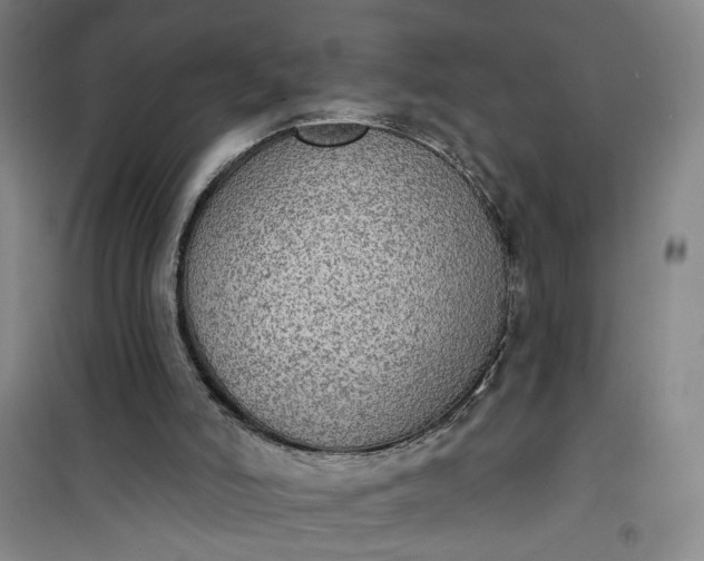 X0000101150006200807111016