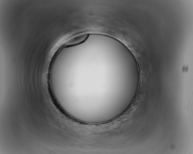 X0000101150007200807111016