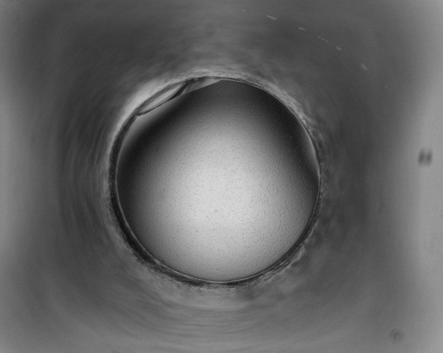 X0000101150008200807111016