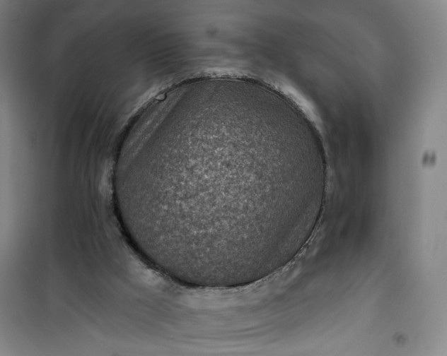 X0000101150009200807111016