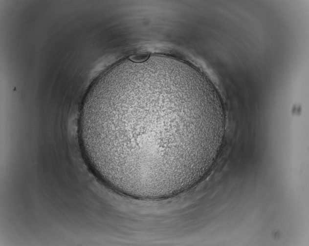 X0000101150010200807111016