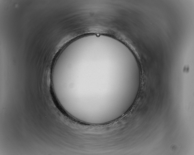 X0000101150011200807111016