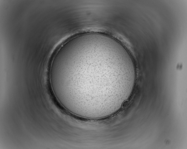 X0000101150012200807111016