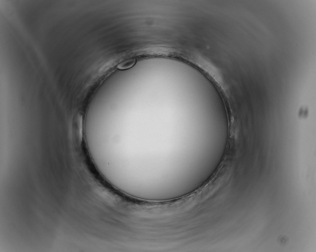 X0000101150013200807111016