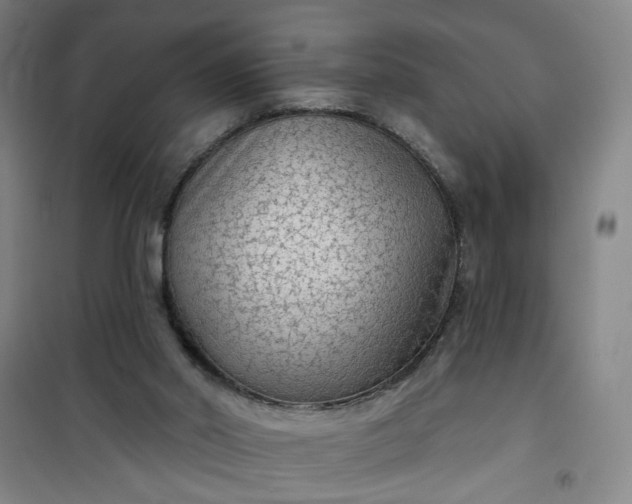 X0000101150014200807111016