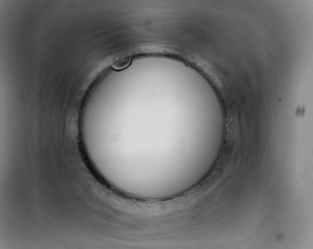 X0000101150015200807111016