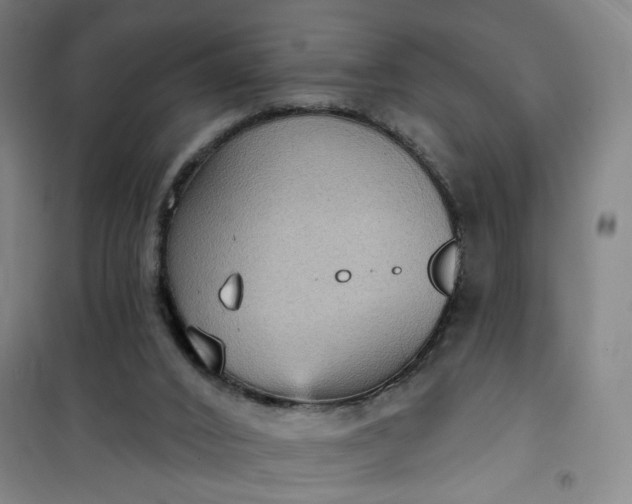 X0000101150016200807111016