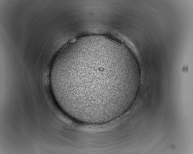 X0000101150017200807111016