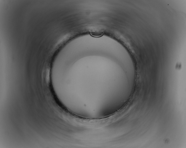 X0000101150019200807111016