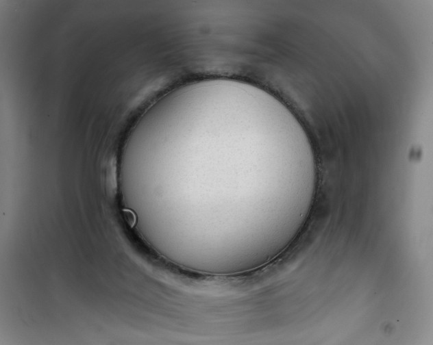 X0000101150020200807111016