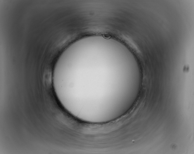 X0000101150021200807111016