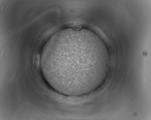 X0000101150022200807111016