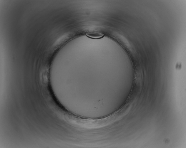 X0000101150023200807111016