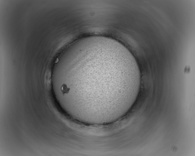 X0000101150024200807111016