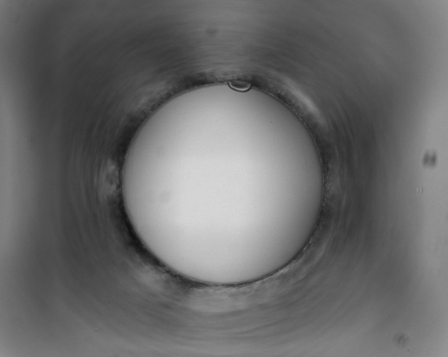 X0000101150025200807111016