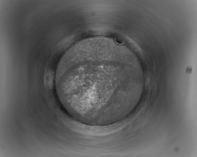 X0000101150026200807111016