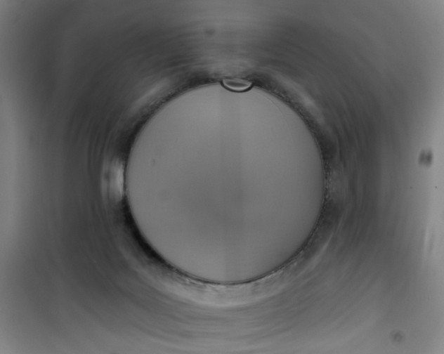 X0000101150027200807111016