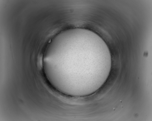 X0000101150028200807111016