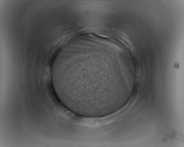 X0000101150029200807111016