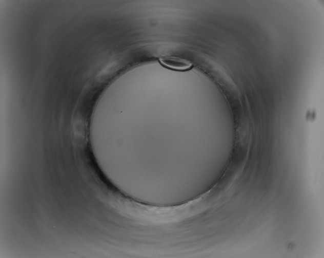 X0000101150031200807111016