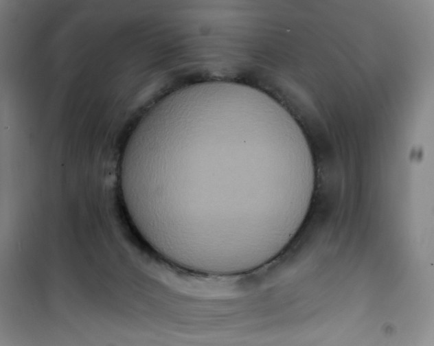 X0000101150032200807111016