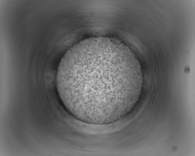 X0000101150034200807111016