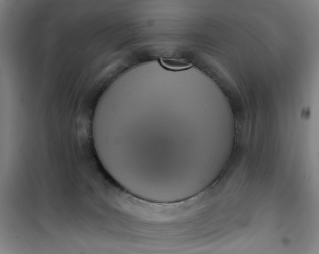 X0000101150035200807111016