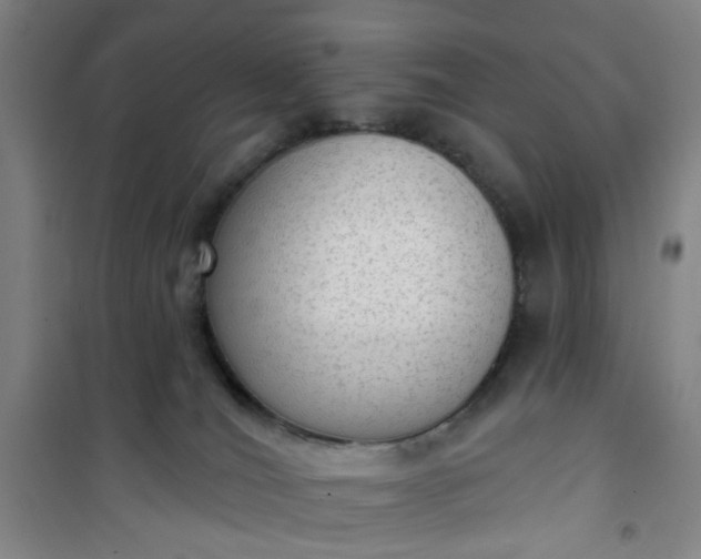 X0000101150036200807111016