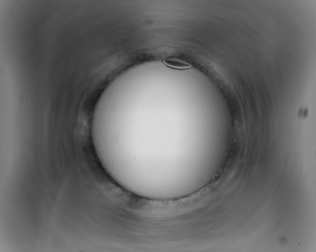 X0000101150037200807111016