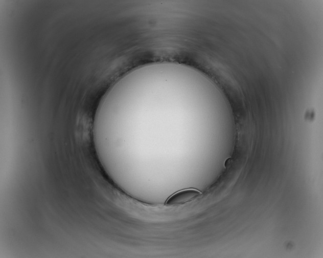 X0000101150038200807111016