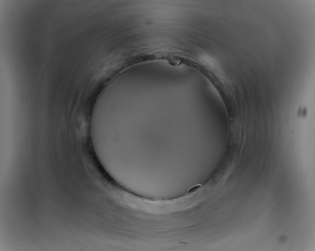 X0000101150039200807111015