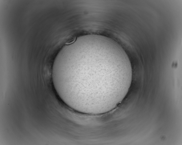 X0000101150040200807111015