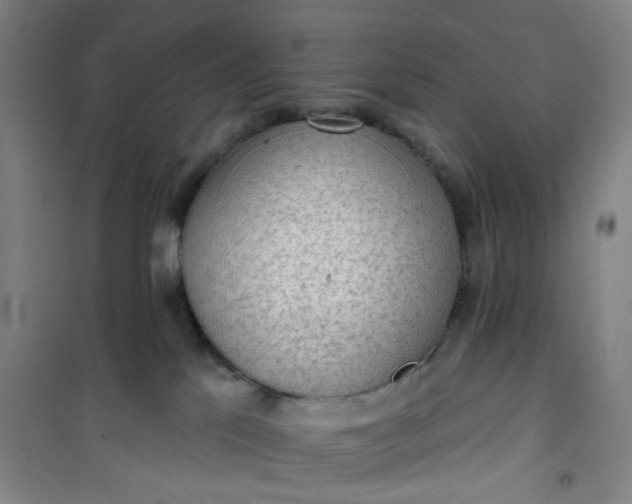 X0000101150041200807111015