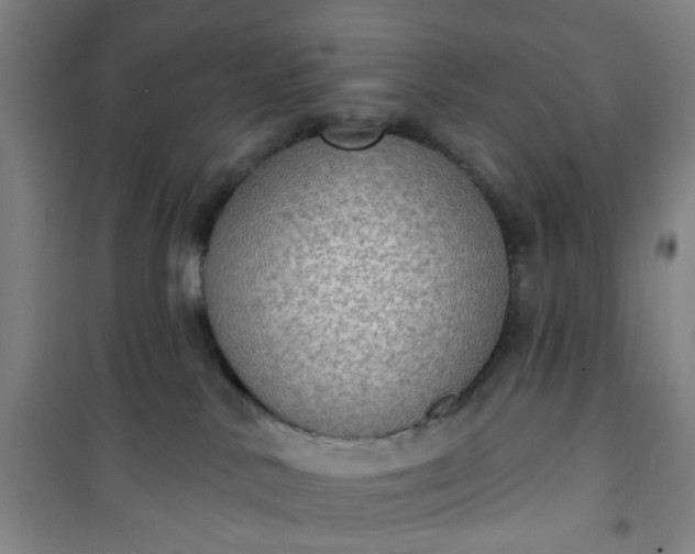 X0000101150042200807111015