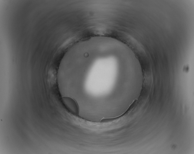 X0000101150043200807111015