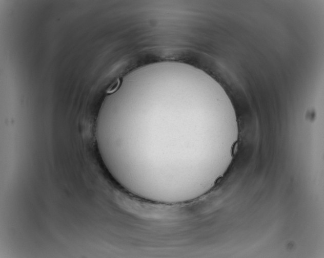 X0000101150044200807111015