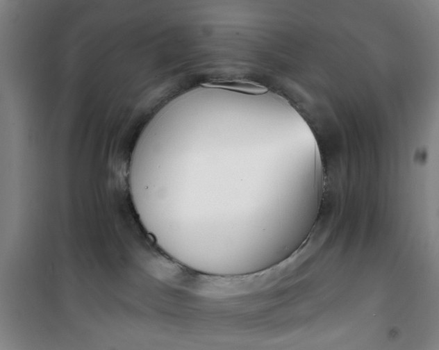 X0000101150045200807111015