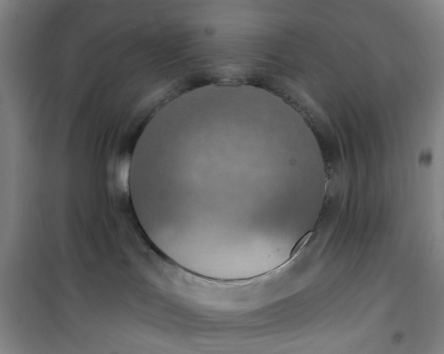 X0000101150047200807111015