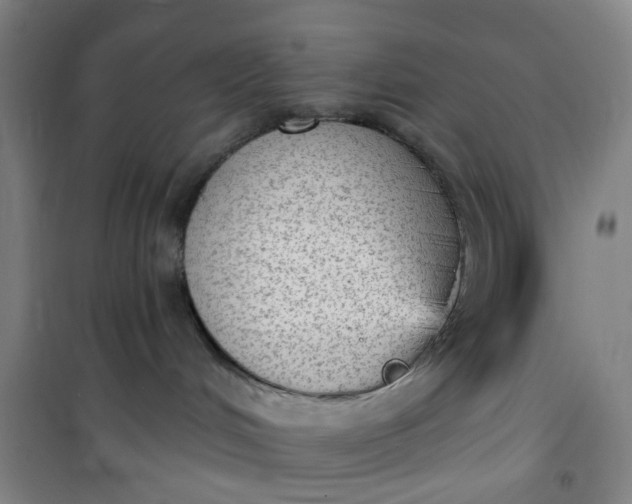 X0000101150048200807111015