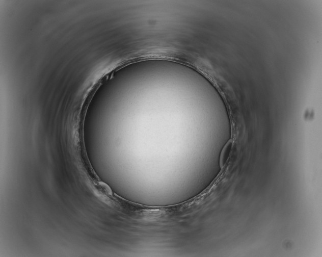 X0000101150050200807111015