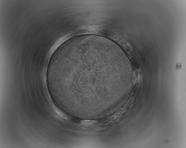 X0000101150051200807111015