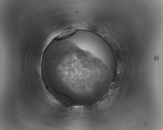 X0000101150052200807111015