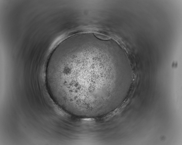 X0000101150053200807111015