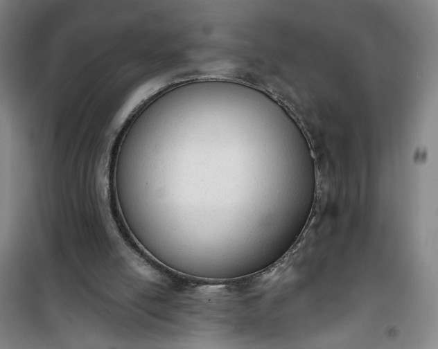 X0000101150054200807111015