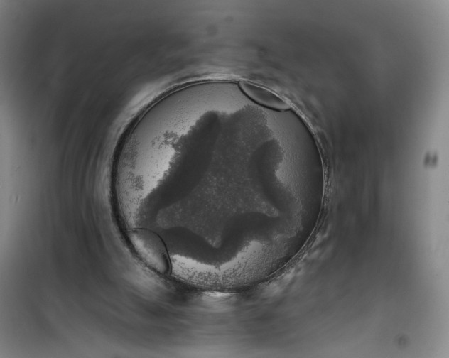 X0000101150055200807111015