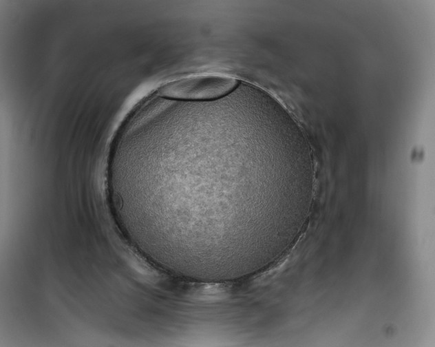 X0000101150056200807111015