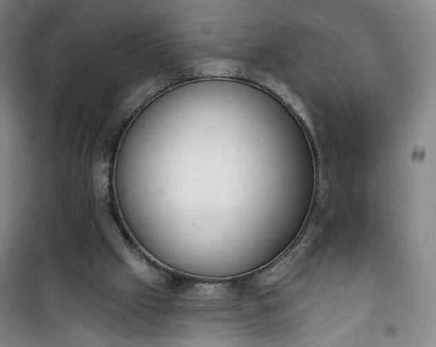 X0000101150057200807111015