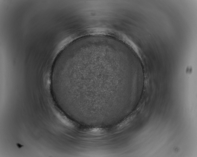 X0000101150059200807111015