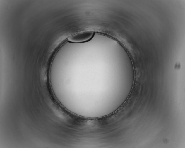 X0000101150060200807111015